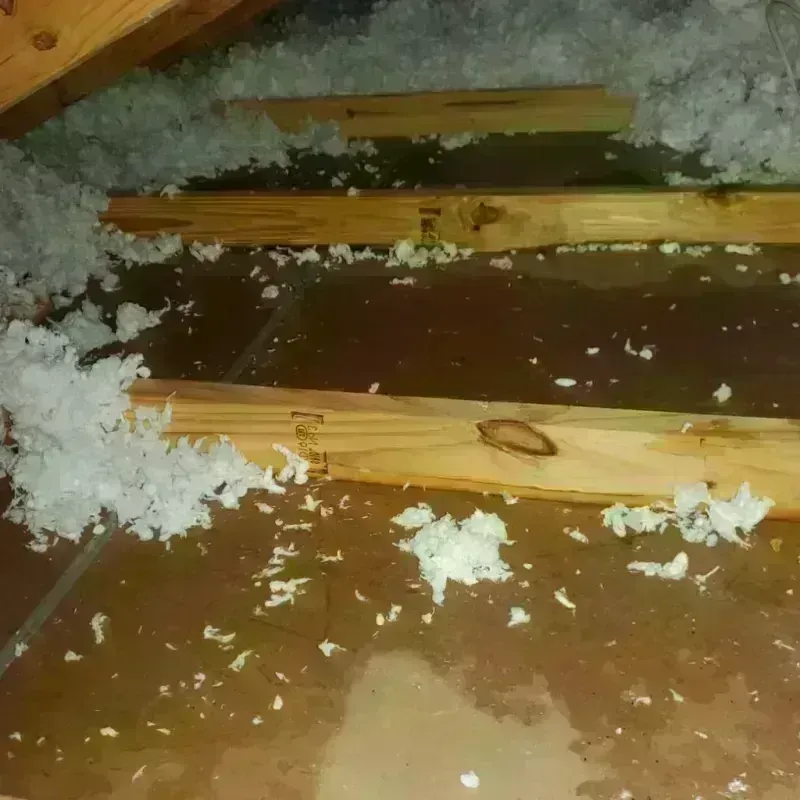 Attic Water Damage in Sheboygan County, WI