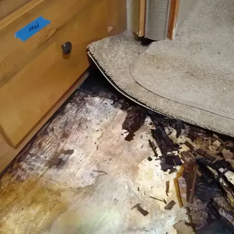 Wood Floor Water Damage in Sheboygan County, WI